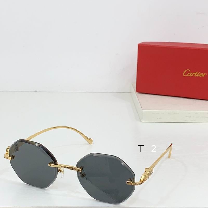 Cartier CT0518S b02