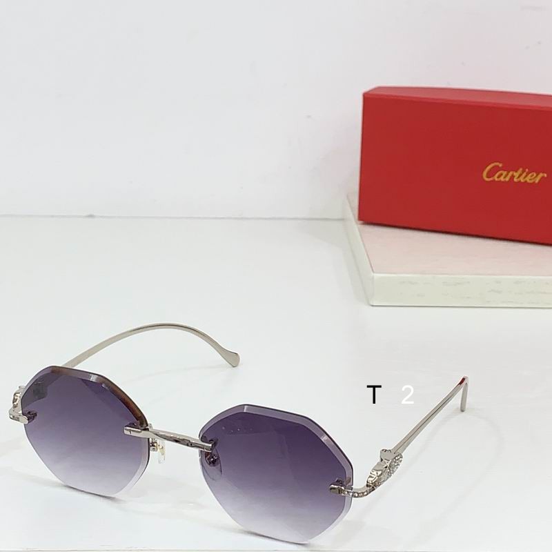 Cartier CT0518S b03