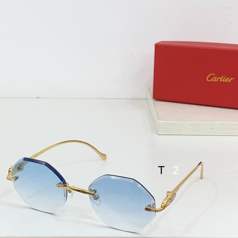 Cartier CT0518S b04