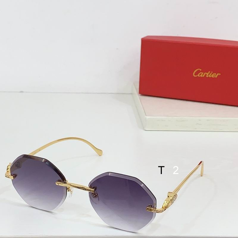 Cartier CT0518S b06