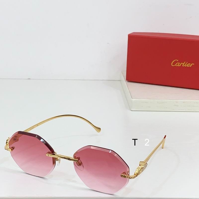 Cartier CT0518S b07