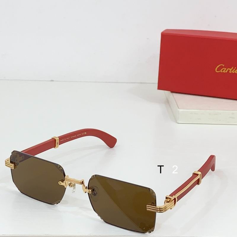 Cartier CT0534S 59 20-145 b02