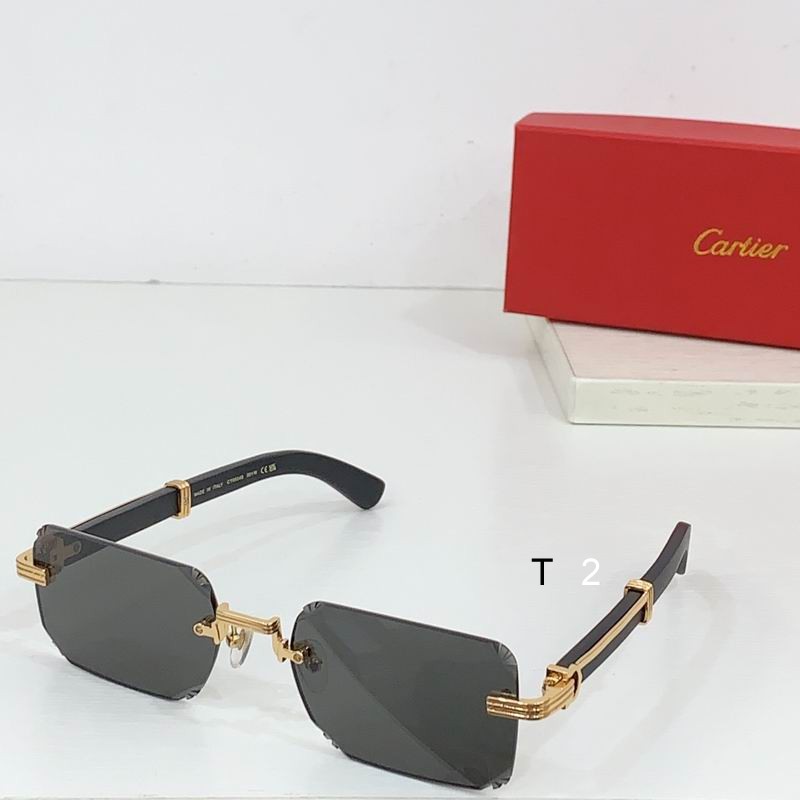 Cartier CT0534S 59 20-145 b03