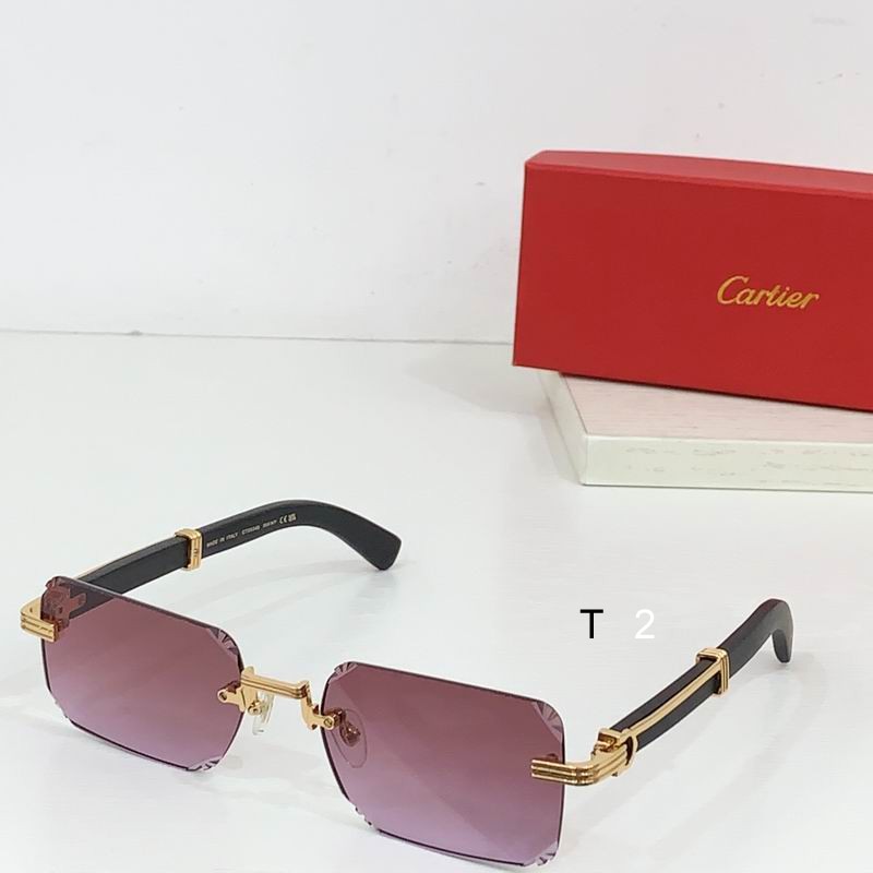 Cartier CT0534S 59 20-145 b04