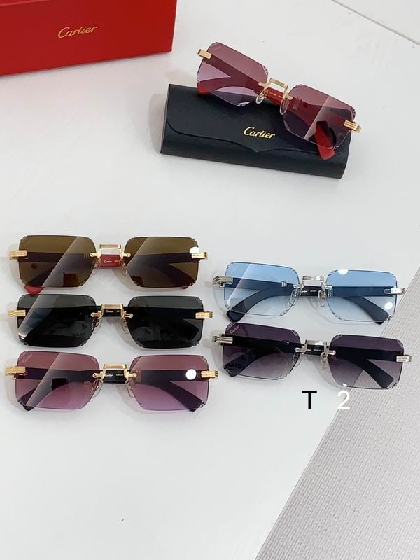Cartier CT0534S 59 20-145 b09