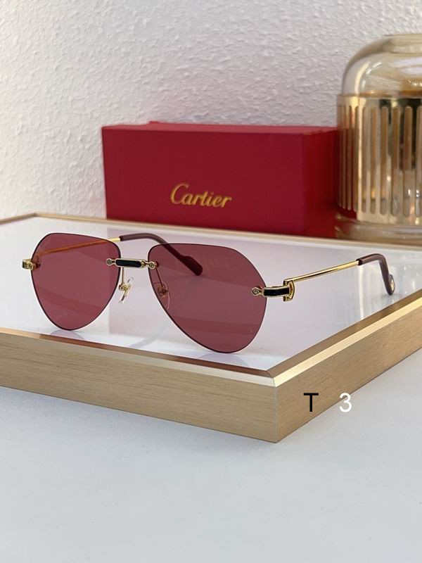 Cartier CT0629S 55 20-140 c01
