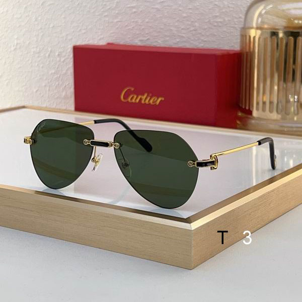 Cartier CT0629S 55 20-140 c02