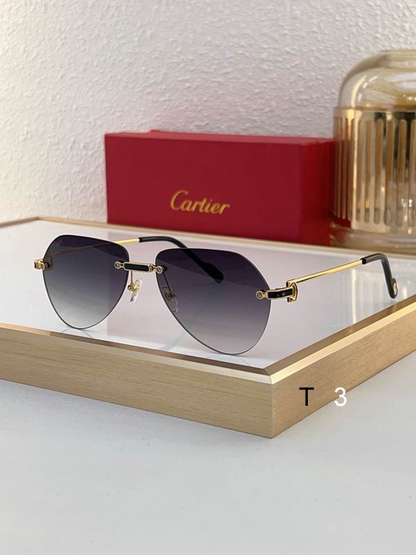 Cartier CT0629S 55 20-140 c03