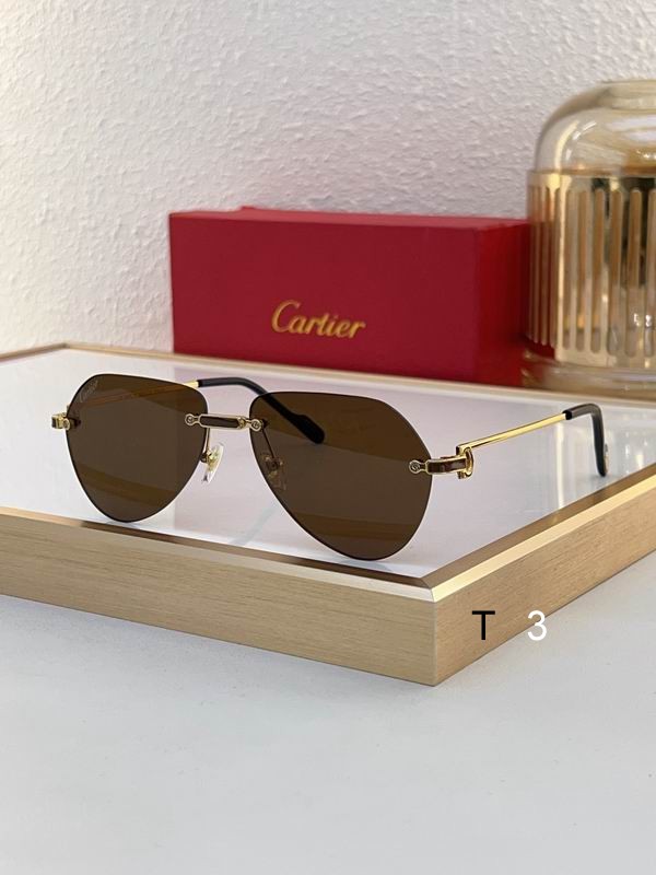 Cartier CT0629S 55 20-140 c04