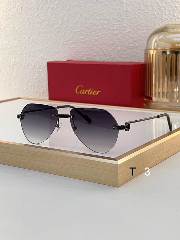 Cartier CT0629S 55 20-140 c05