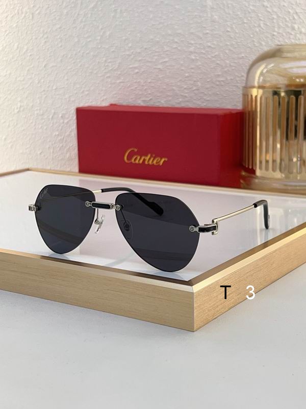 Cartier CT0629S 55 20-140 c06