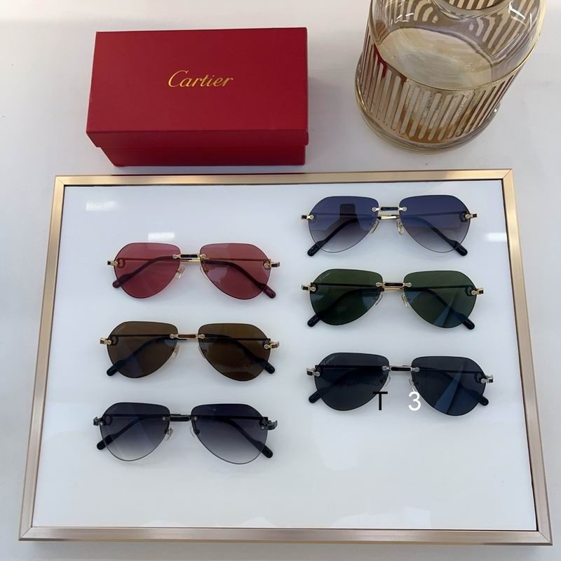 Cartier CT0629S 55 20-140 c08