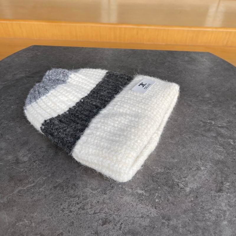 Celine hat (17)