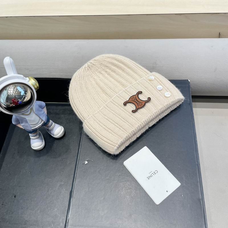 Celine hat (61)