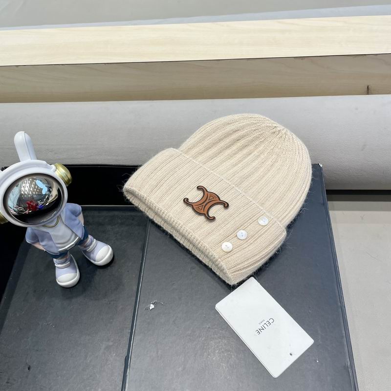 Celine hat (62)