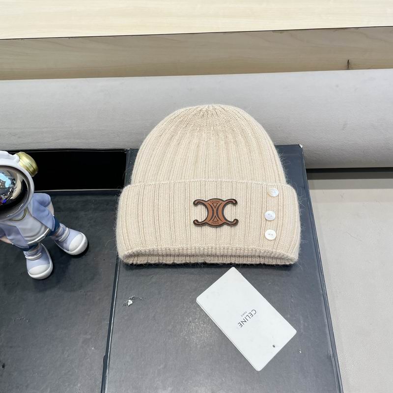 Celine hat (63)
