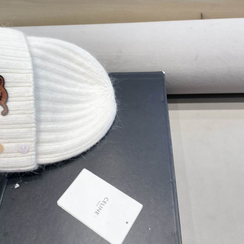 Celine hat (67)