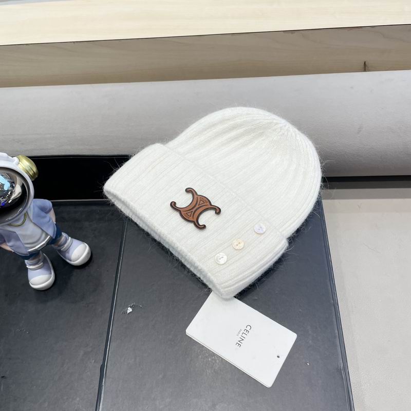 Celine hat (71)