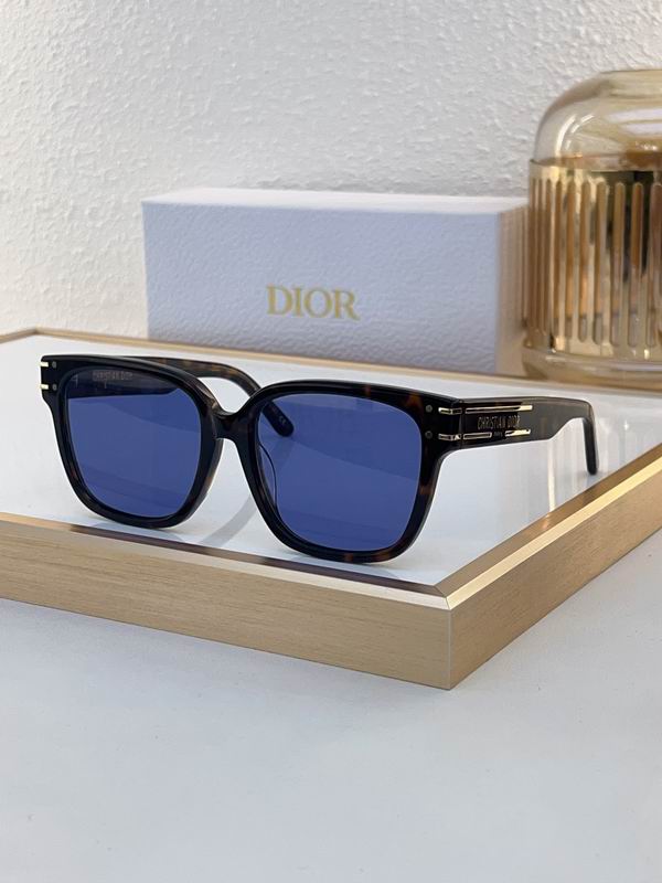 Dior Signature 58 18-140 C01