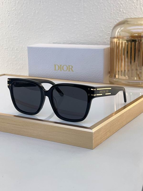 Dior Signature 58 18-140 C04