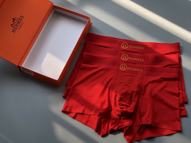 Hermes boxer L-3XL 11 (4)