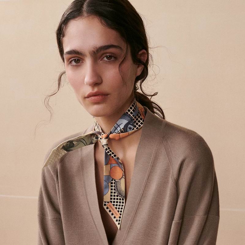 Hermes silk ribbon 5X86cm E10 (16)