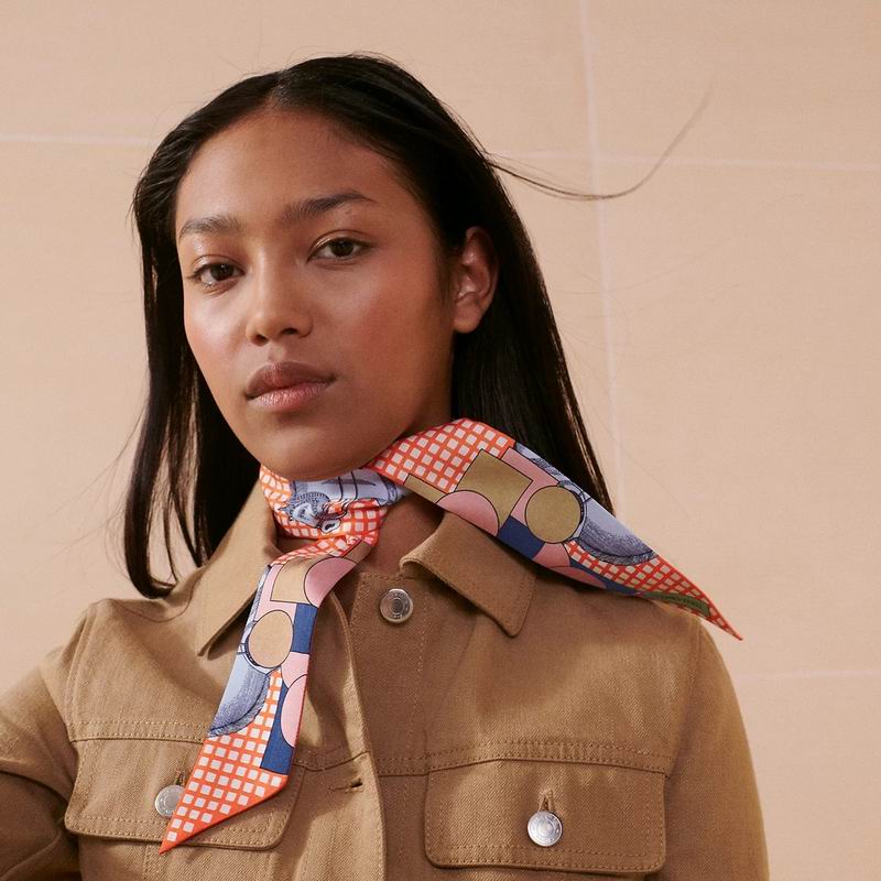 Hermes silk ribbon 5X86cm E10 (34)