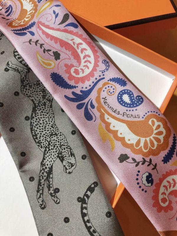 Hermes silk ribbon 5X86cm E11 (4)
