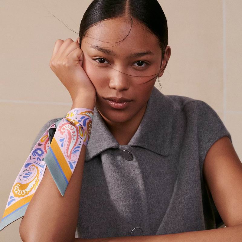 Hermes silk ribbon 5X86cm E11 (7)