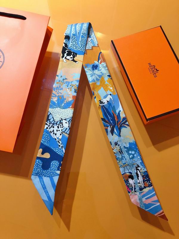 Hermes silk ribbon 5X86cm E19 (15)