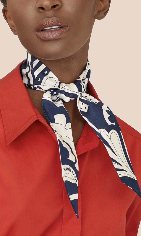 Hermes silk ribbon 5X86cm E22 (7)