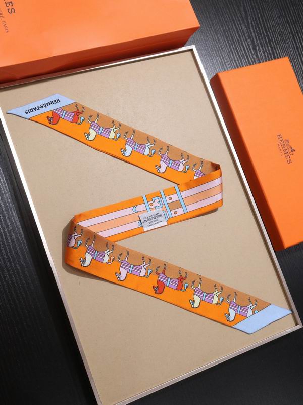 Hermes silk ribbon 5X86cm E30 (21)