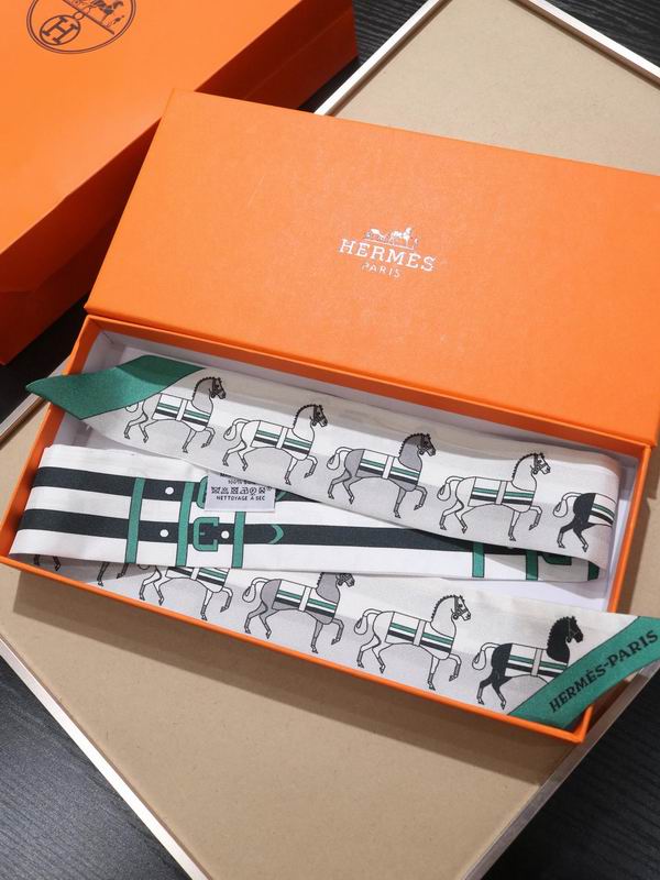 Hermes silk ribbon 5X86cm E30 (6)