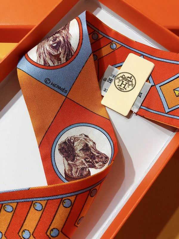 Hermes silk ribbon 5X86cm E32 (24)