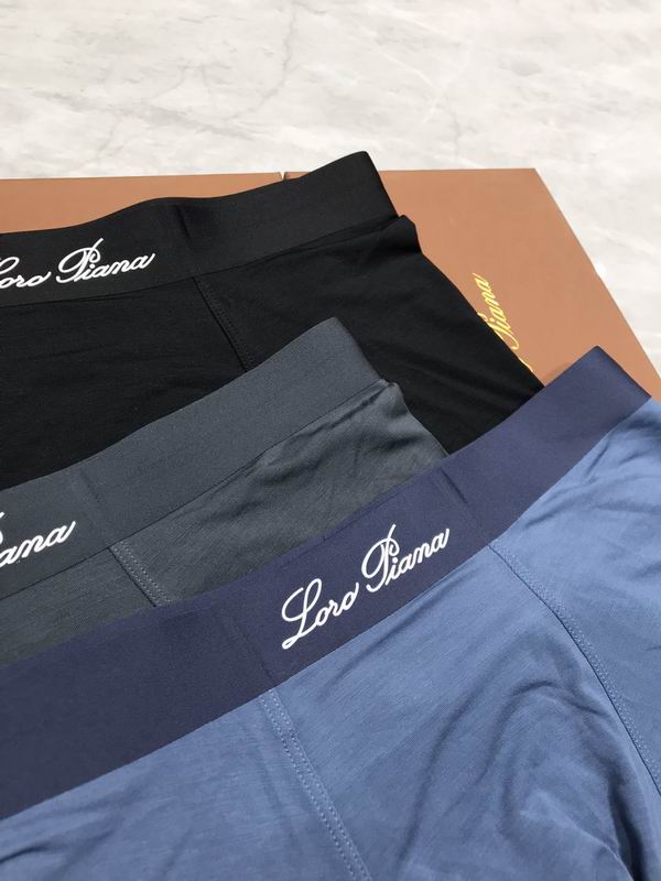 LP boxer L-4XL 35 (5)