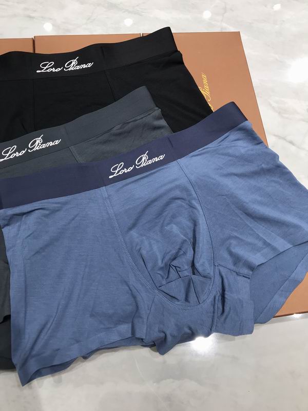 LP boxer L-4XL 35 (7)