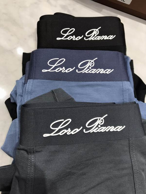 LP boxer L-4XL 35 (8)