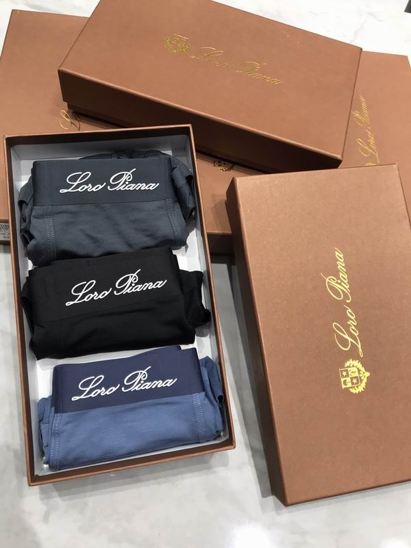 LP boxer L-4XL 35 (9)