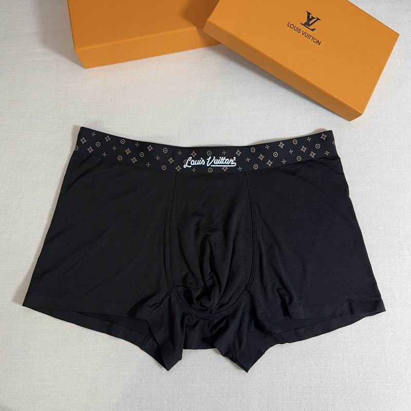 LV boxer XL-3XL 36 (3)