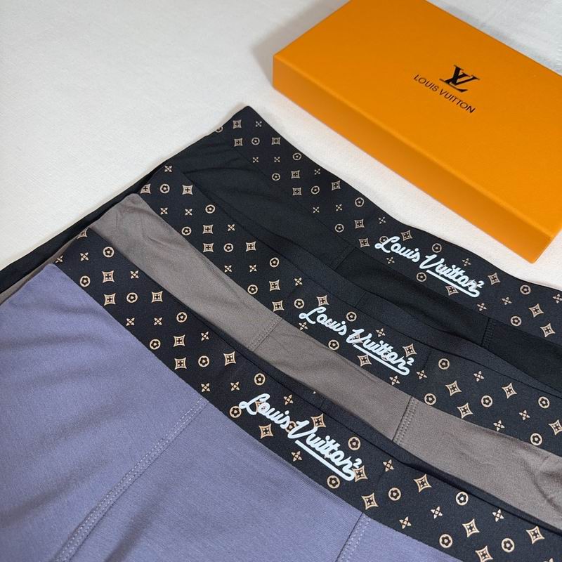 LV boxer XL-3XL 36 (8)