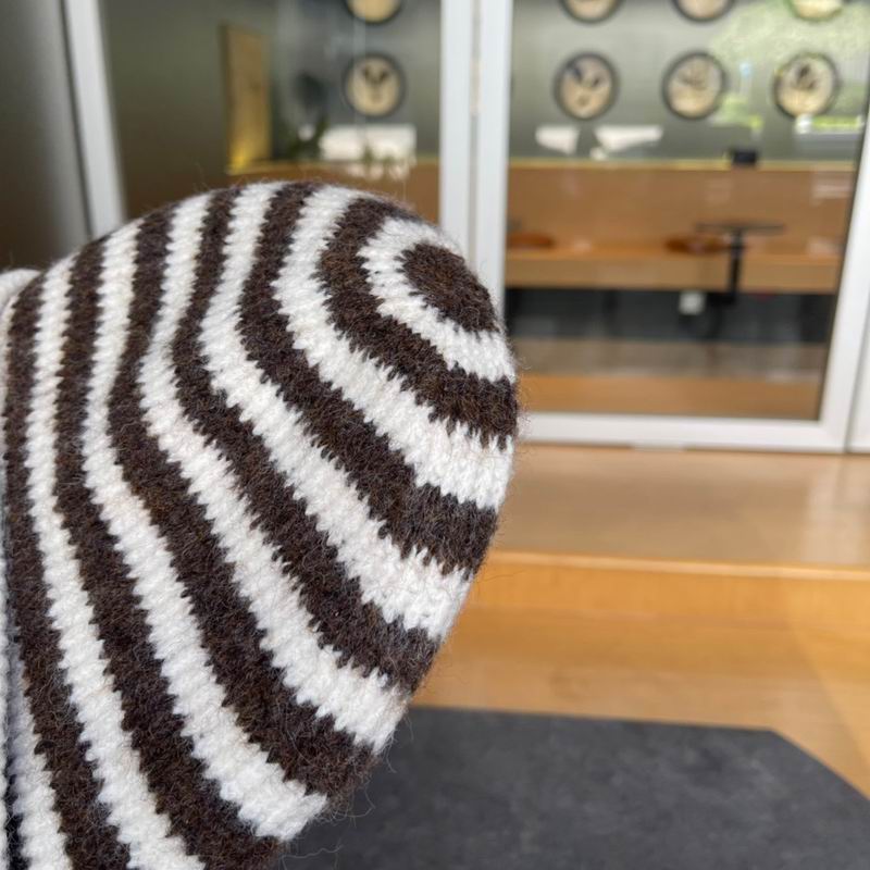 Moncler hat (435)