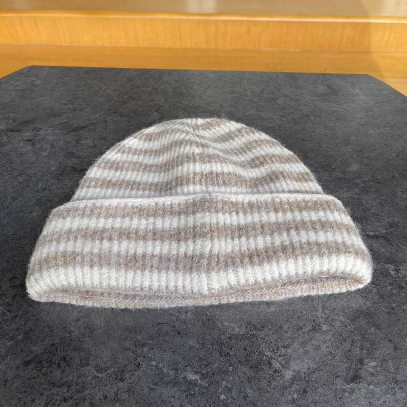 Moncler hat (459)