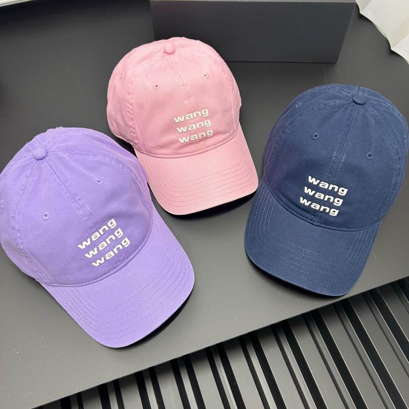 Alxander Wang cap dx (1)