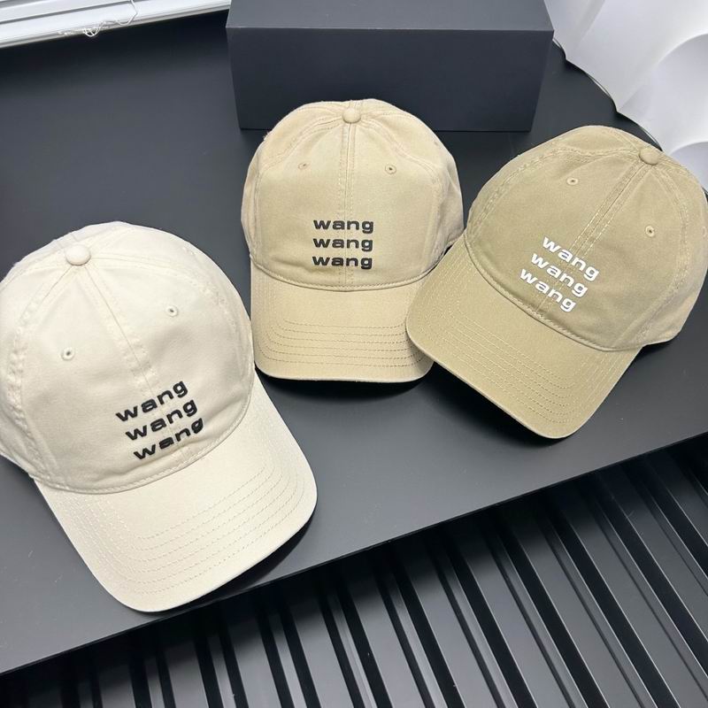 Alxander Wang cap dx (3)