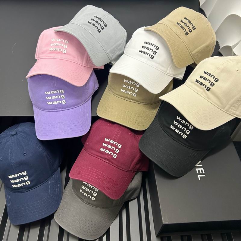 Alxander Wang cap dx (5)