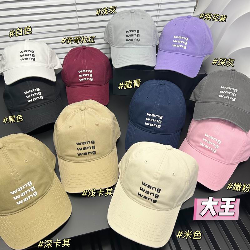 Alxander Wang cap dx (6)