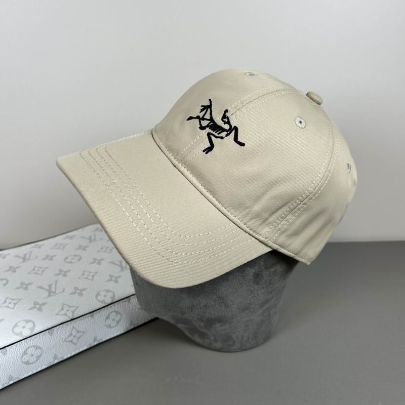 Arcteryx cap dx (9)