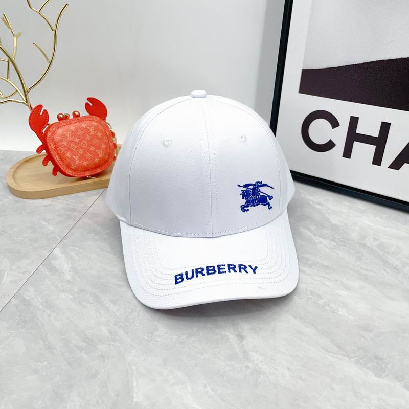 Burberry cap dx (14)