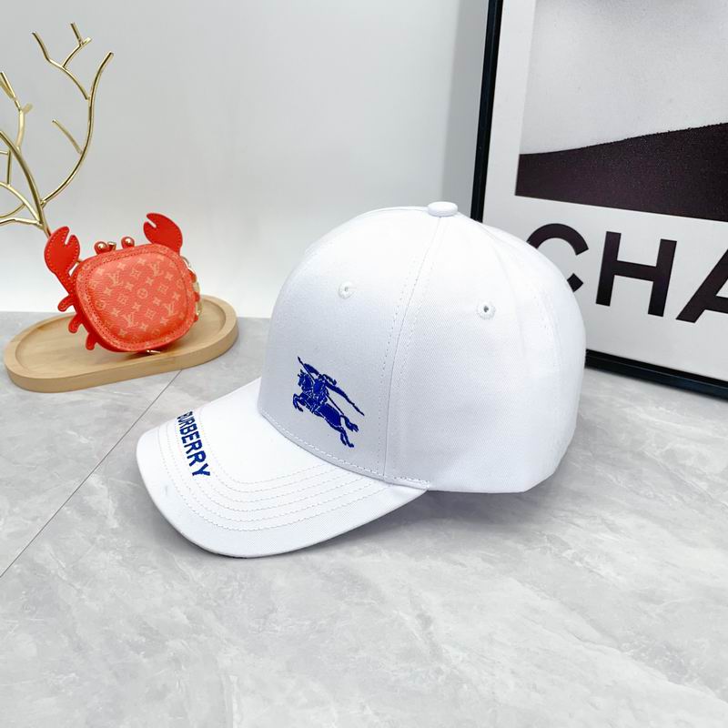 Burberry cap dx (15)