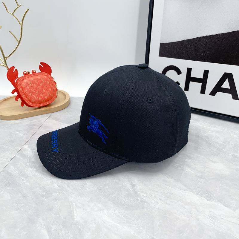 Burberry cap dx (24)